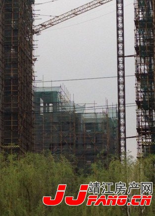 靖江长虹花园施工进展报告(图1)