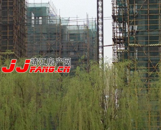 靖江长虹花园施工进展报告(图3)