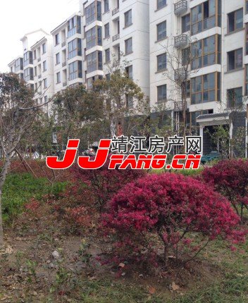 靖江市中心的安置房---天伦花苑(图3)