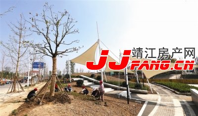 阜民桥旁边建起小游园(图1)